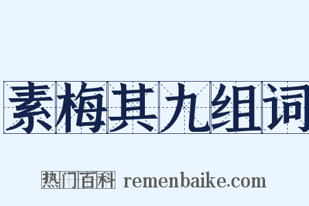 素梅其九组词是什么意思的图片